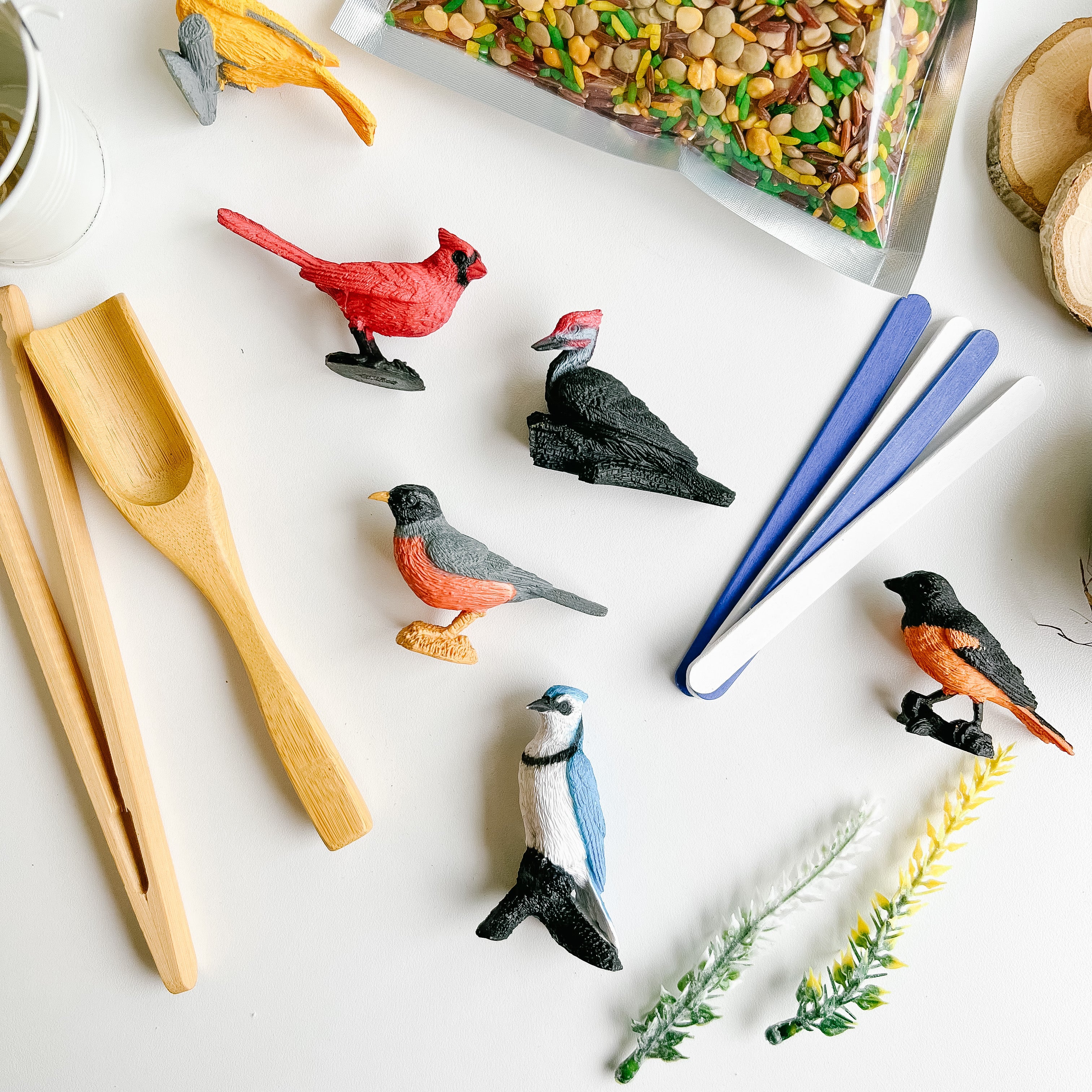 Sensory Backyard Birds!