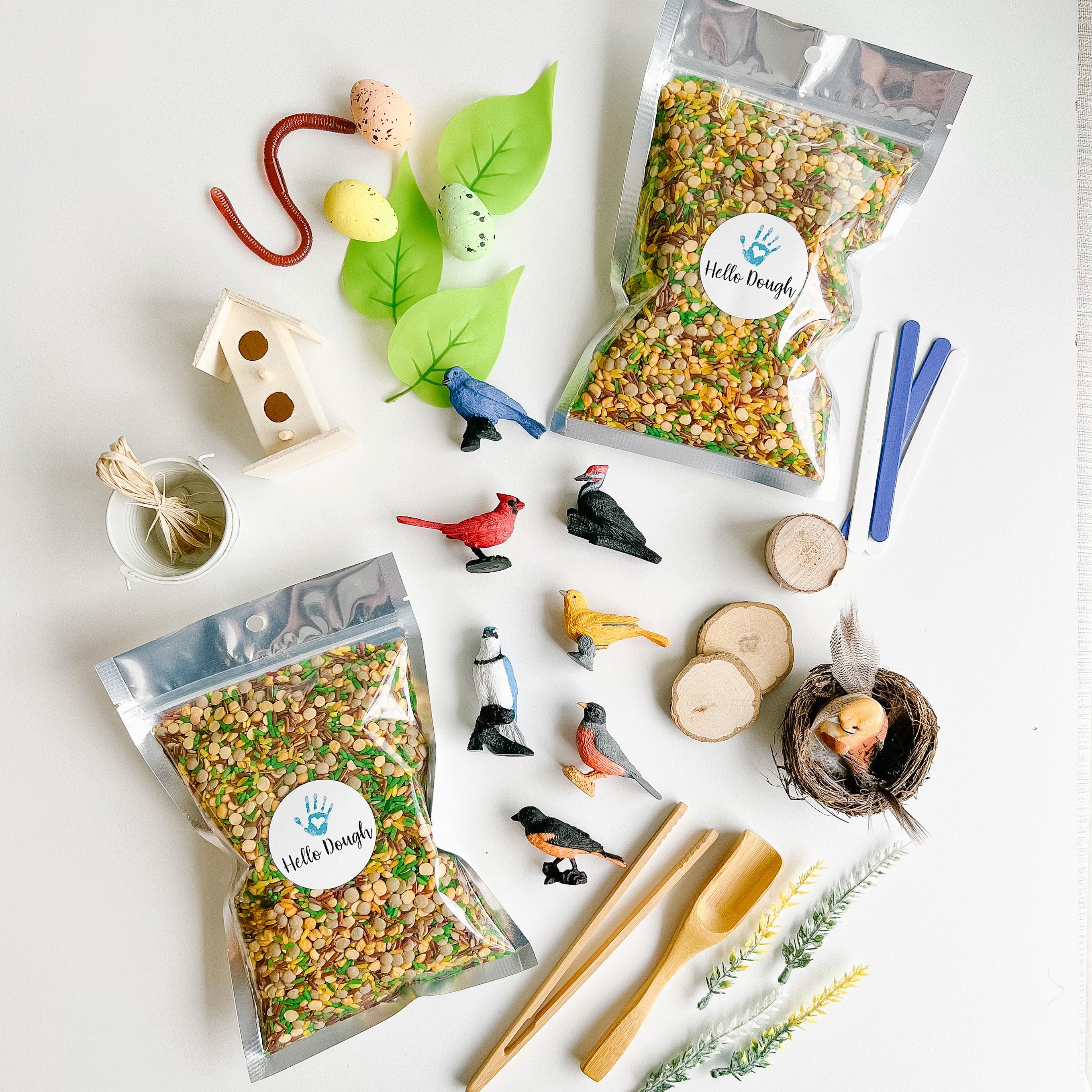 Sensory Backyard Birds!