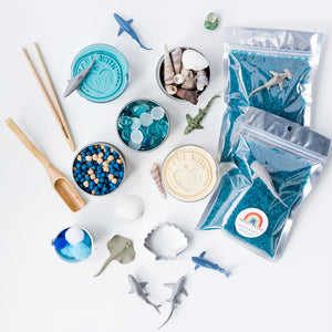 
                  
                    Load image into Gallery viewer, Shark Ultimate Sensory Play Kit!
                  
                